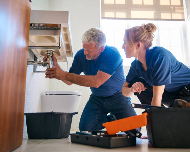 Best Commercial Plumbing Services  in Ferrysburg, MI